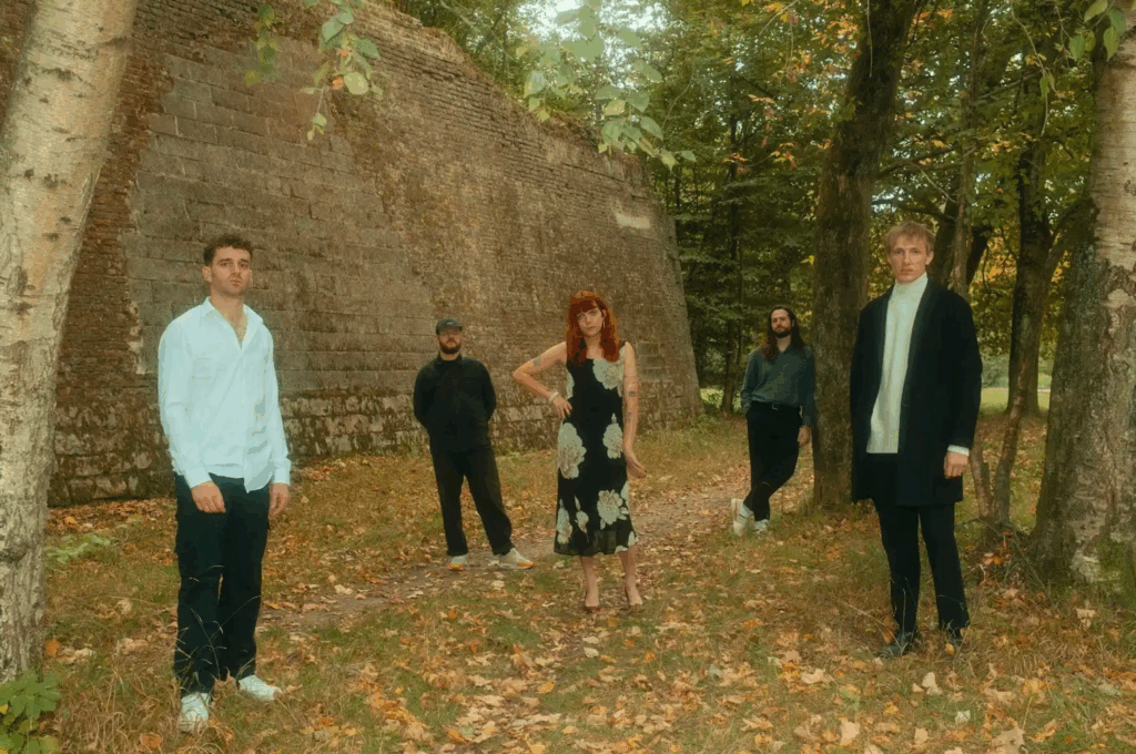 DITZ - 'Don Enzo Magic Carpet Salesman'