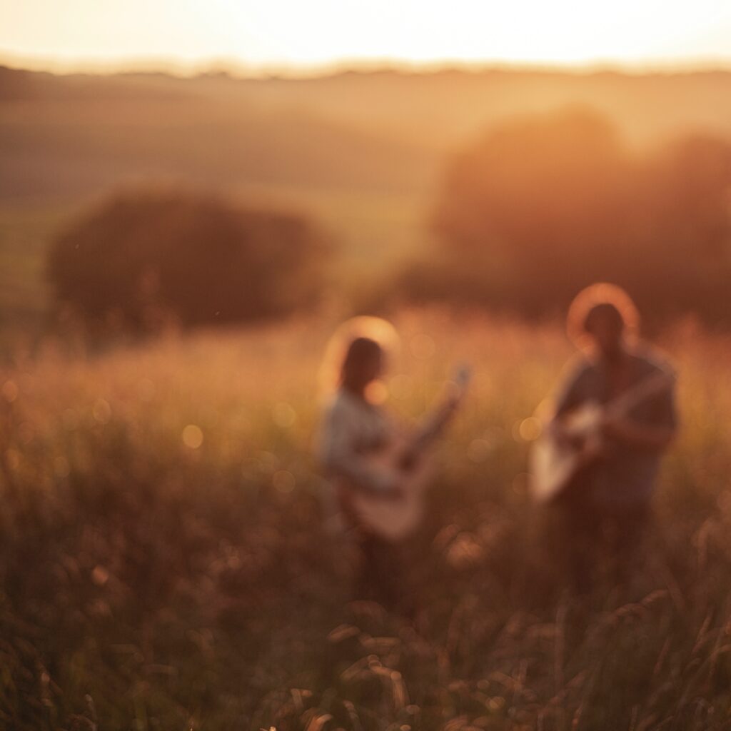 Tyler Ramsey and Carl Broemel - 'In The Willows'