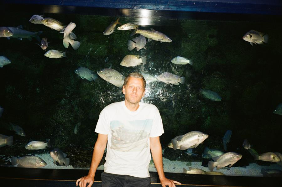 Large: 'Marine Life'