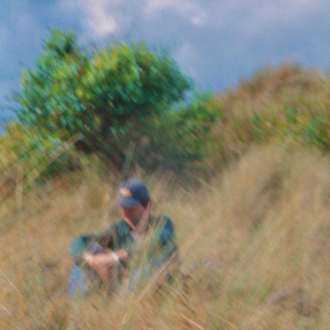 todd modern - 'Overgrown'