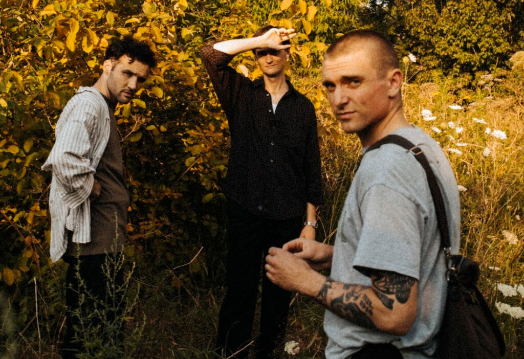 Cola - 'Hedgesitting'